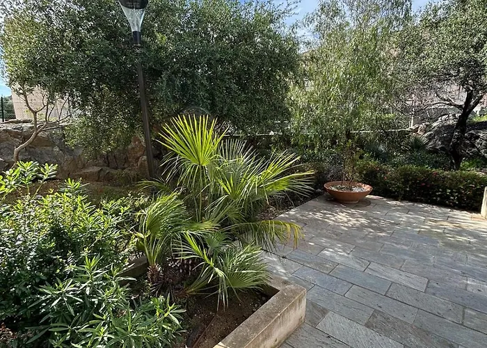 T2 Le Clos Des Oliviers *